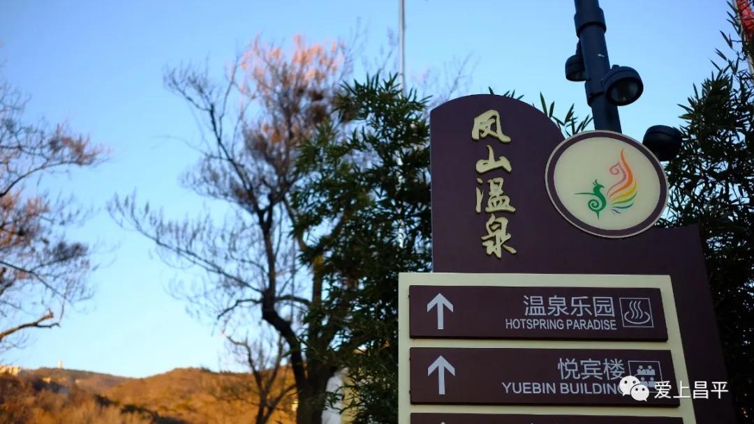 年末盛宴｜除夕夜去哪干饭？昌平年夜饭通关秘籍来了！