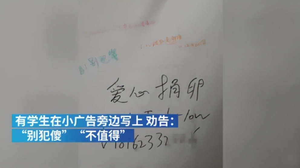 捐卵黑幕,捐卵骗局真人