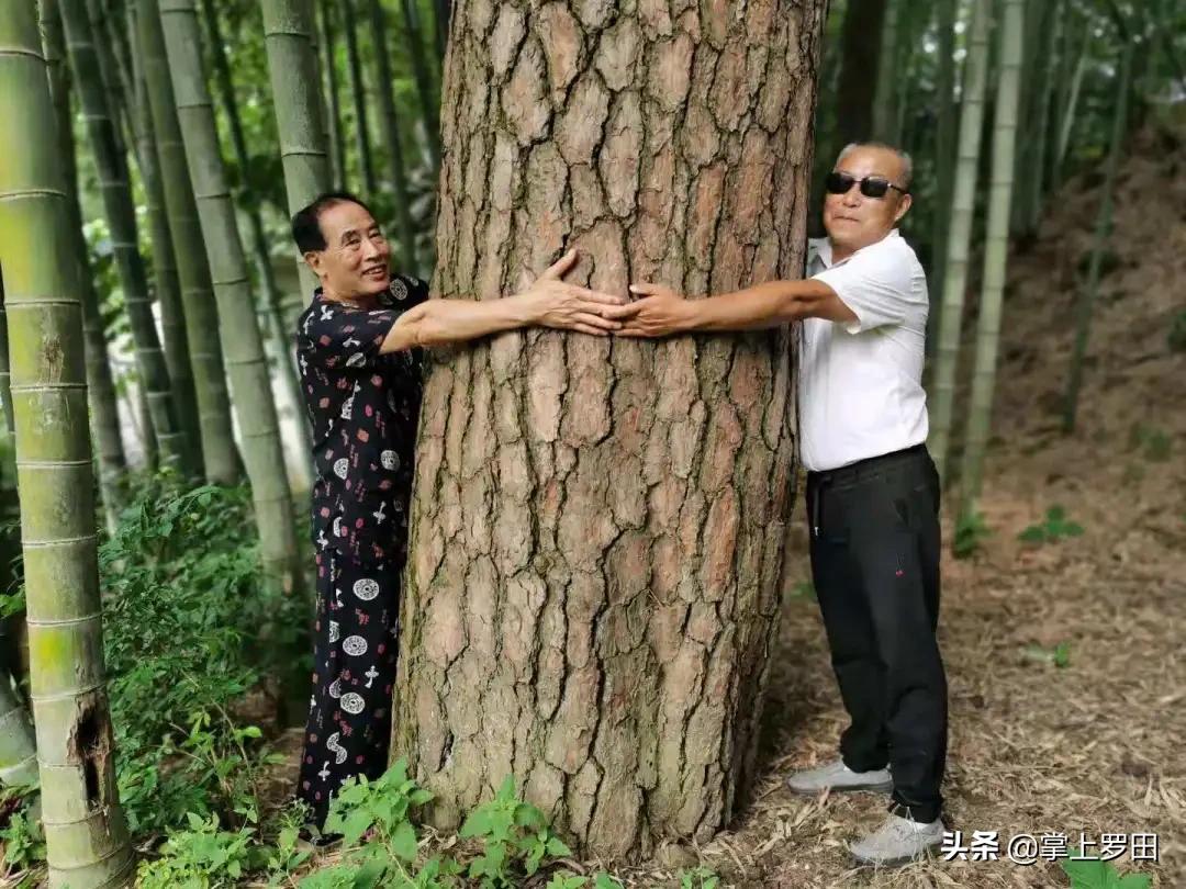 梦里是江南水乡，没曾想，却恋上罗田这个村