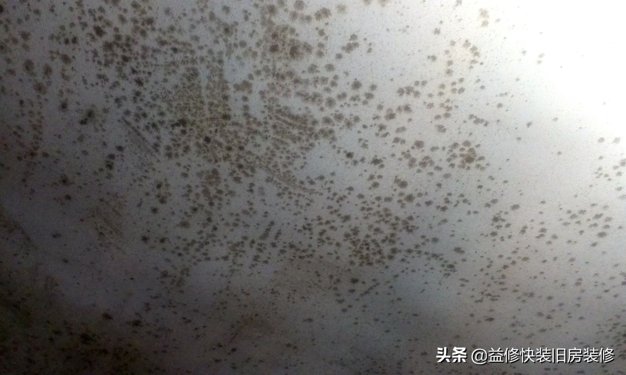 墙壁发霉怎么处理最有效,墙壁发霉怎么处理最快最有效