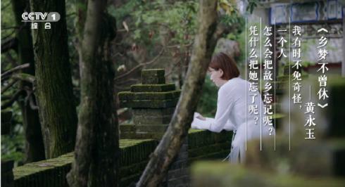 朗读者第一季开场白经典结束语,朗读者第1期开场白和结束语