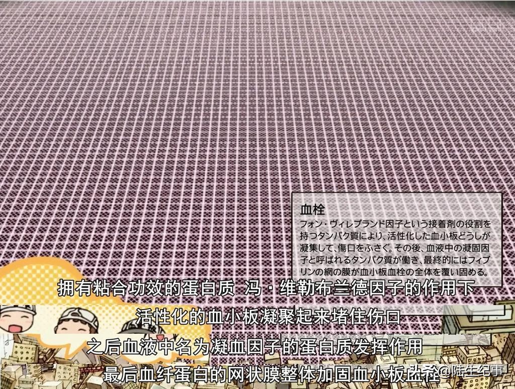 工作细胞日记,工作细胞笔记第1集