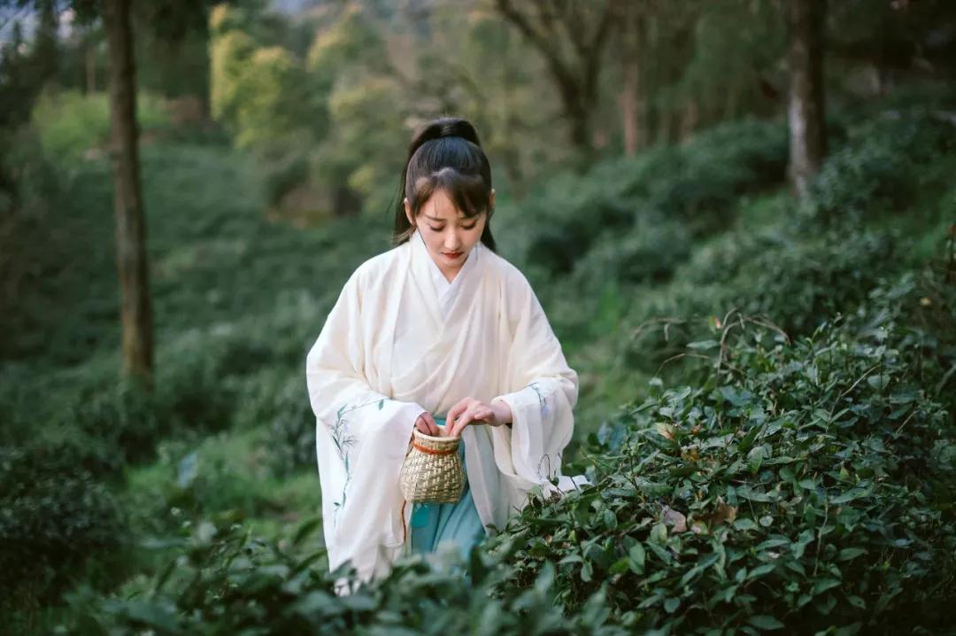 五一山顶云海露营攻略,云海悬崖旅游攻略