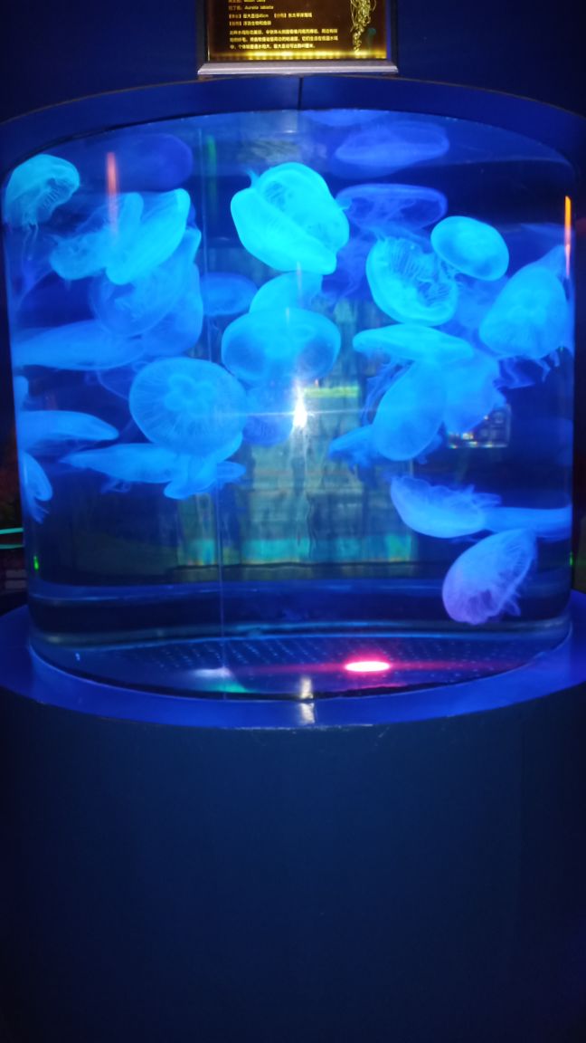 跟团北京三日游,北京旅游团三日游价格