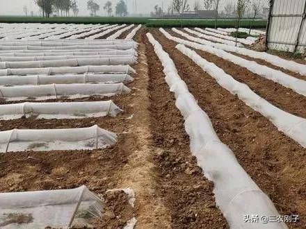 遇到拱地边的邻居咋办,农村拱地边怎么处理