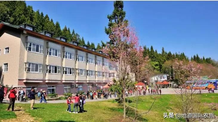 台湾乡村田园旅游案例分享,6个创意乡村旅游综合体