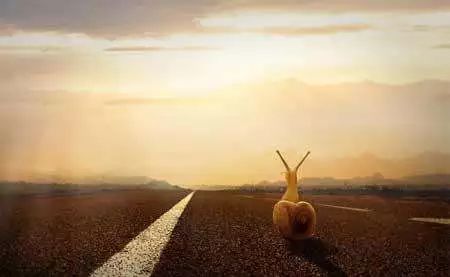 零基础建议考cpa吗,为什么年轻人不建议考cpa