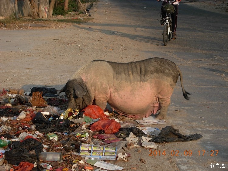 海南环岛骑行的结束感悟,环海南岛骑行中线和西线