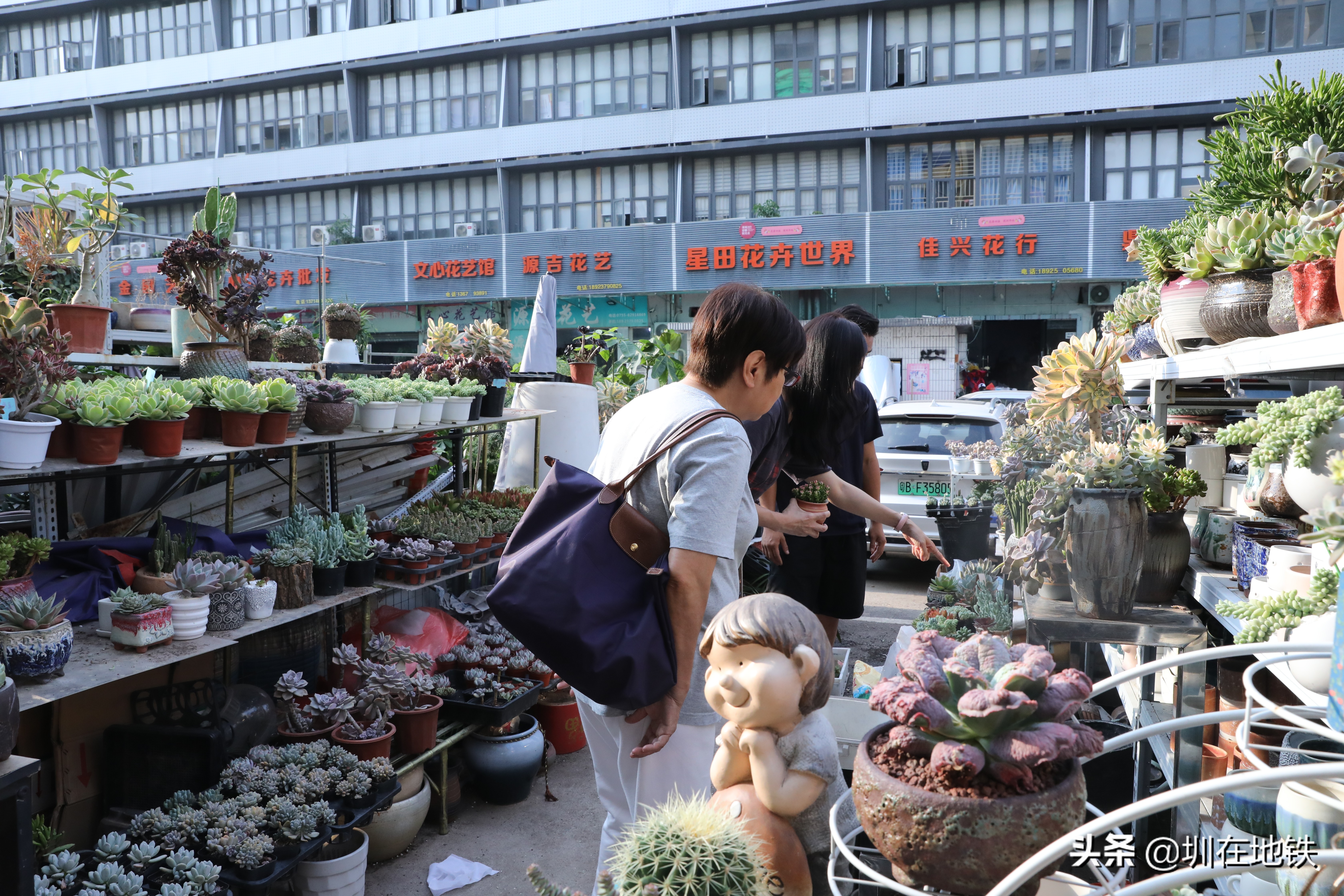 乘坐地铁到滘口花卉市场,从地铁到花卉市场