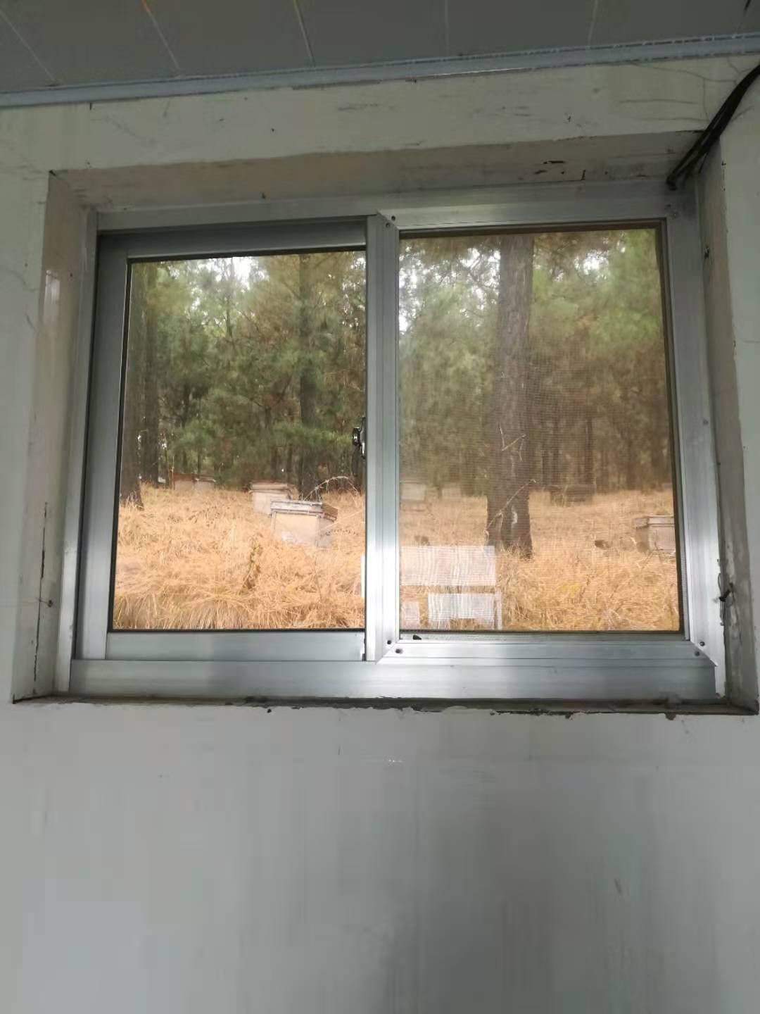 杂文系列四十一：冬天的蜜蜂不能冻死？，适者生存罢了