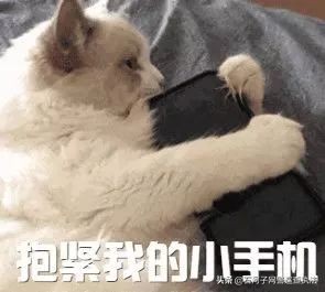 注意这些app存在违规快看你用过吗,公安部提醒这几款app别用