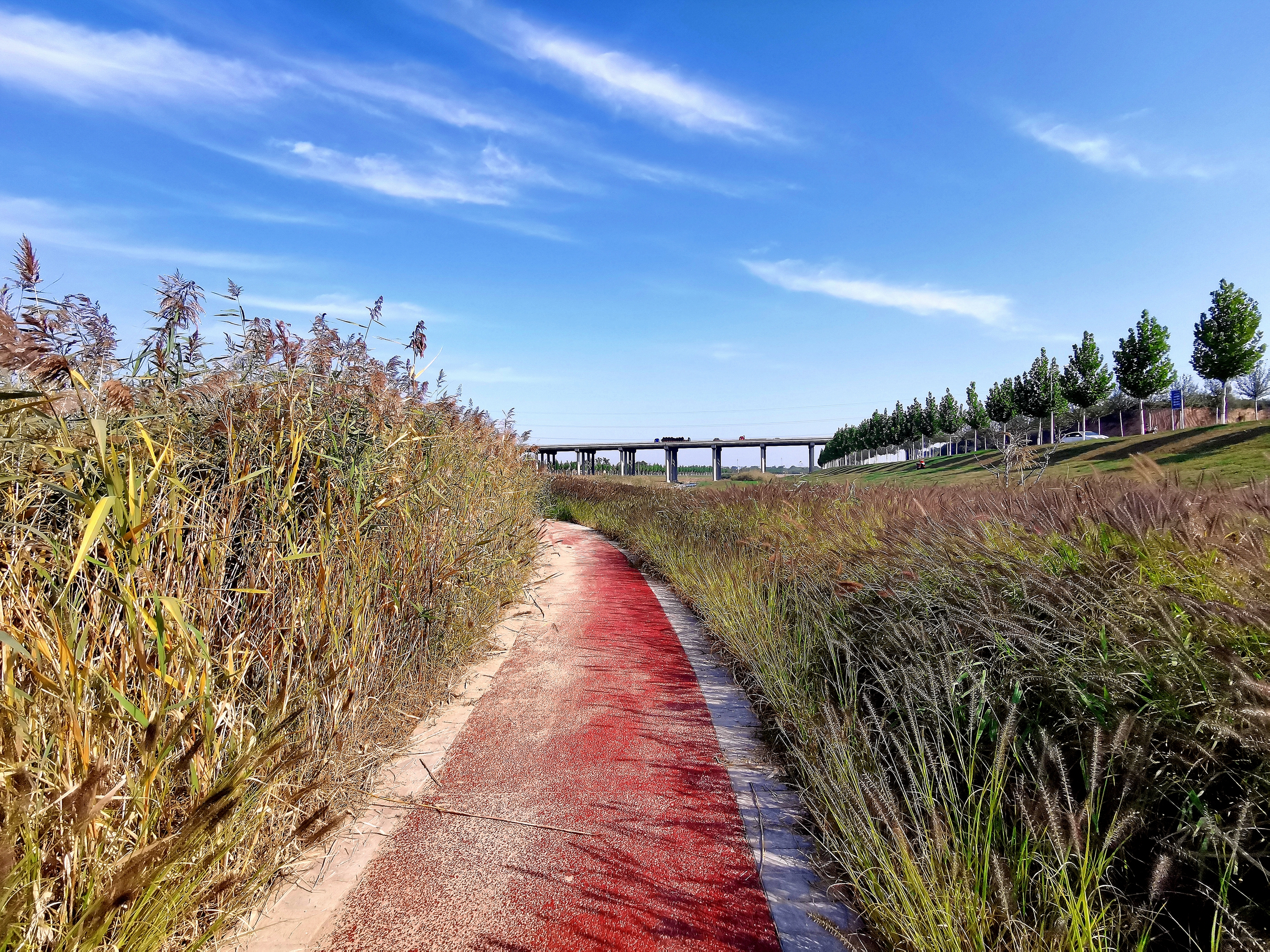 荆山旅游景点大全,荆山美景