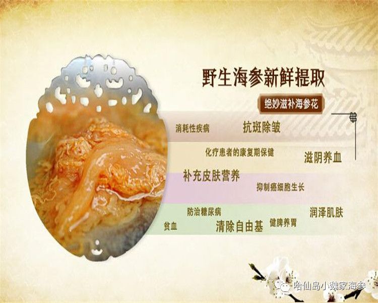 海参可不可以一年四季吃,海参什么季节吃好春天可以吃吗