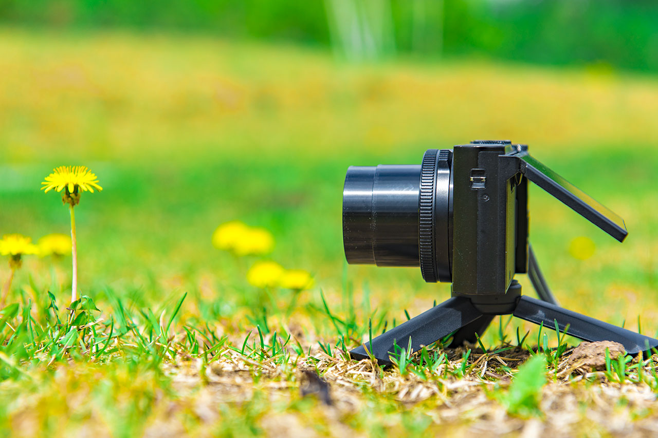 松下相机lx10与lx100m2的区别,松下lx10与单反拍照样张对比