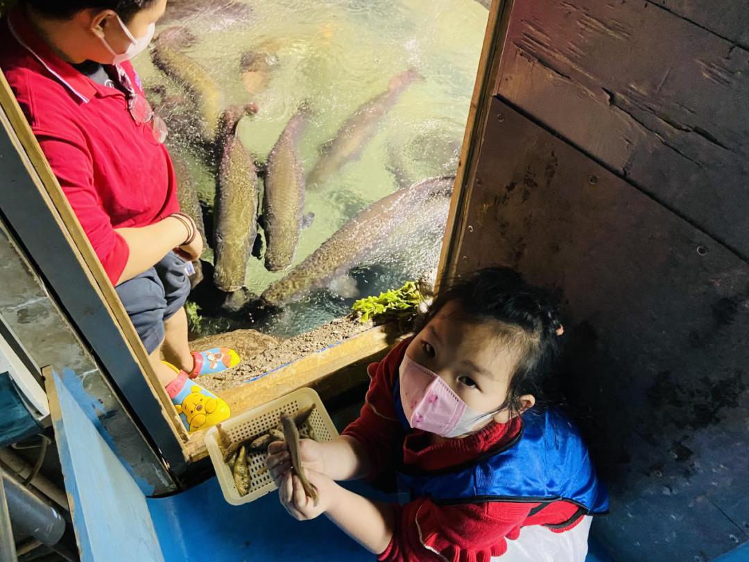 海洋馆奇妙夜,海洋馆探索海洋世界