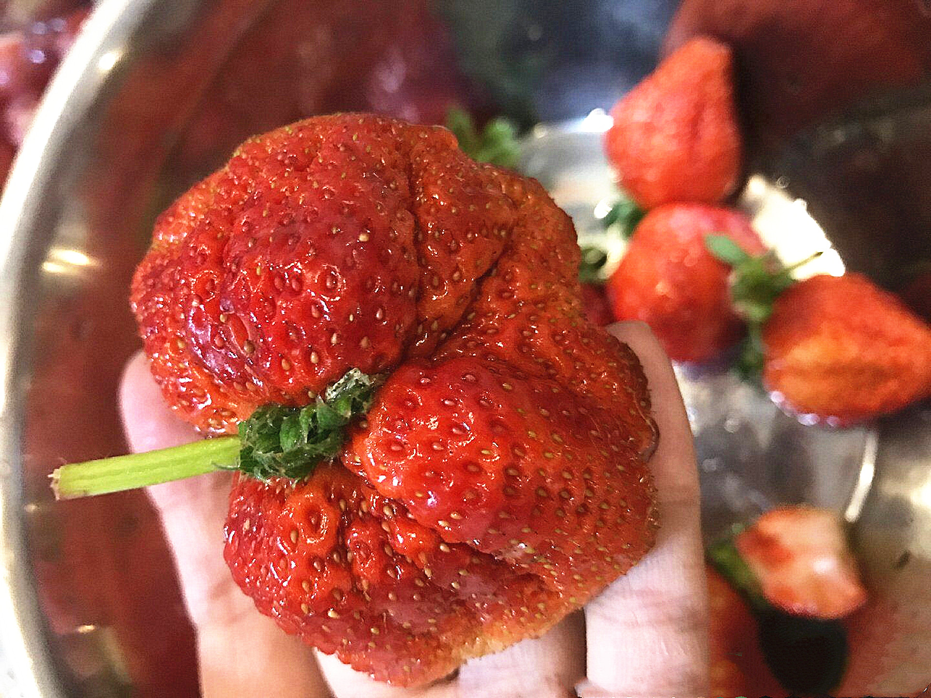 买草莓时遇到这3种万万不能买,买草莓时会遇到一些什么