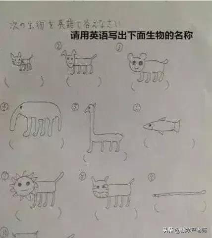 有个搞笑的老师是怎样的体验,幽默的老师是什么体验