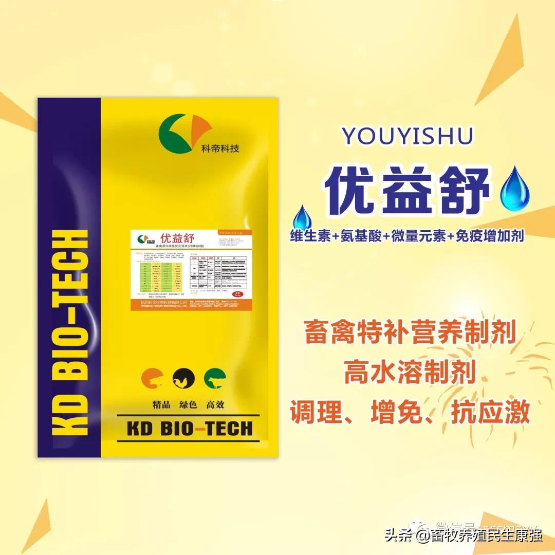 猪蓝耳圆环副猪混合感染,猪蓝耳混合感染母猪症状