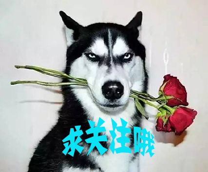 本泽马外号什么神锋,球星搞笑外号