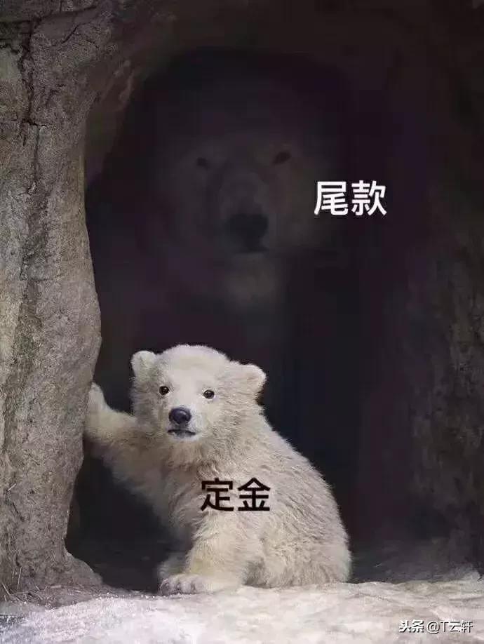 双十一破100亿京东2019,100分钟破千亿的纪录