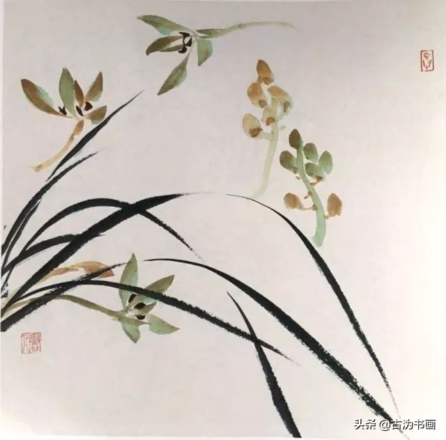 徐湛国画兰花技法教学,国画兰花入门技法