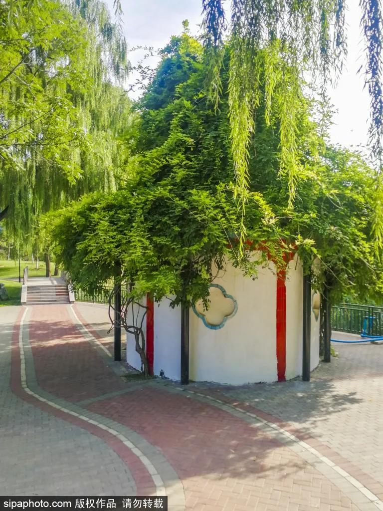 绿皮火车公园打卡景点,各种各样的免费公园