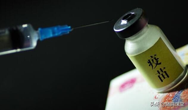 养猪十大病症,养猪知识猪病怎么治