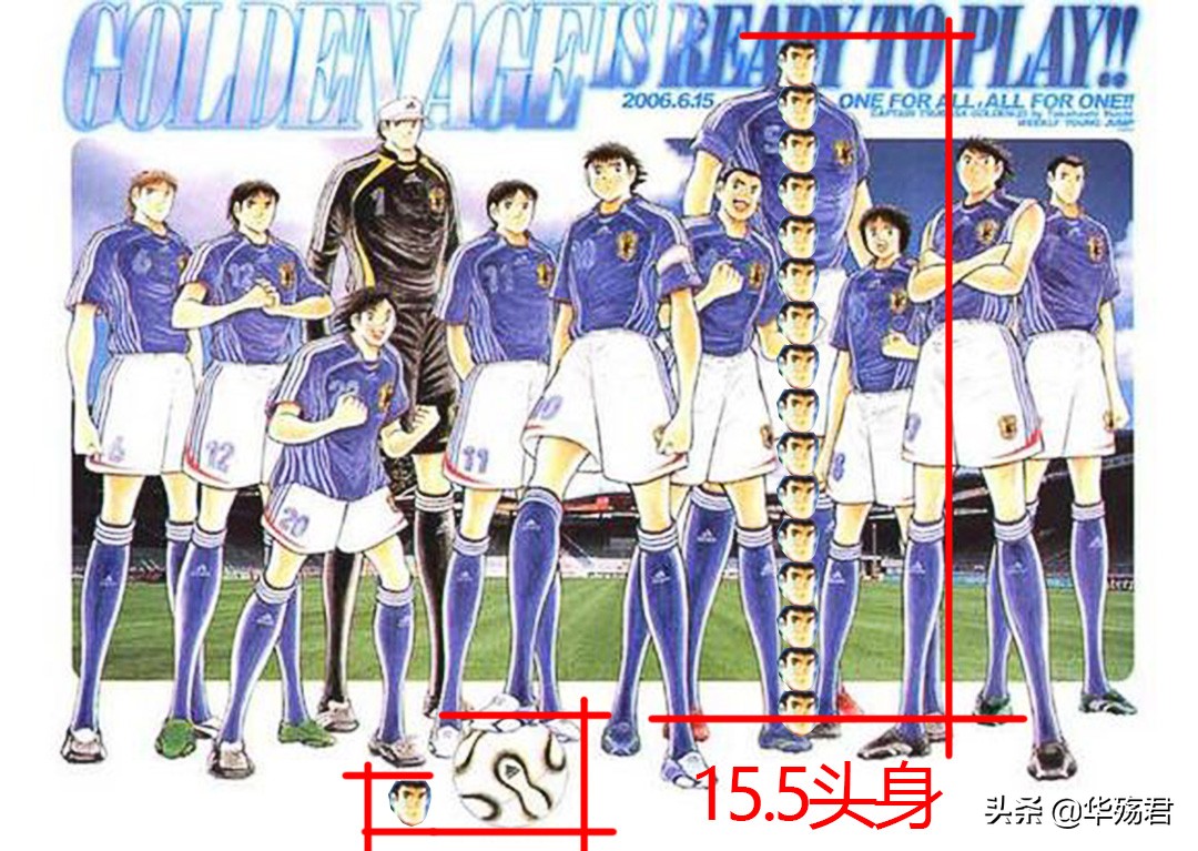 二次元人体结构,二次元人体结构躯干