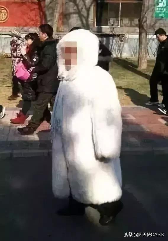 东北都有貂吗,在东北没有雪地靴不行吗