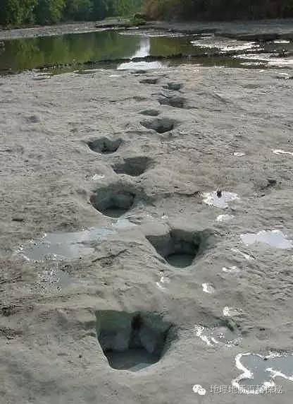 鬼斧神工地质遗珍视频,鬼斧神工的地质