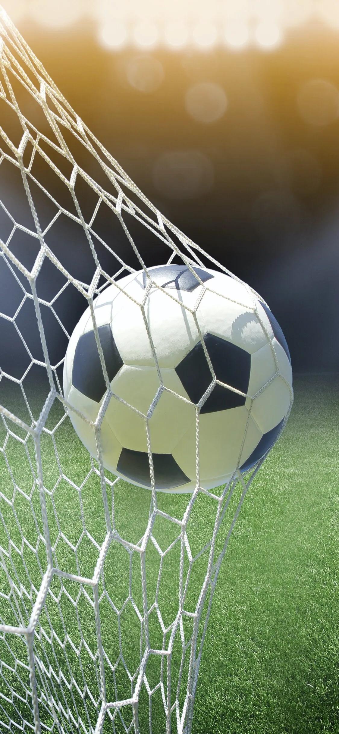 98世界杯高清壁纸,看世界杯图