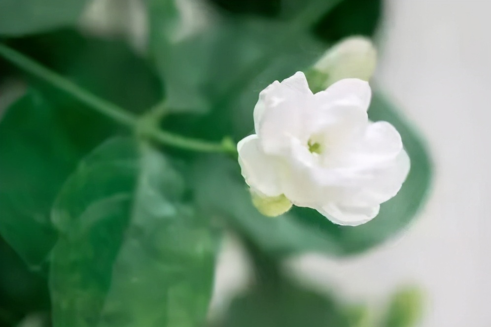 如果失去了爱人怎么办,如果失去爱人余生怎么过