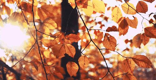 韩国小灯泡美白精华怎么样,韩国小灯泡精华真的能变白吗