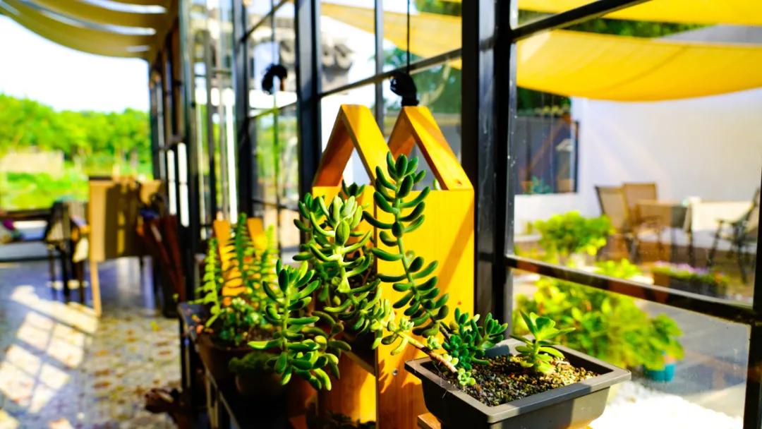 过年相城游玩攻略,相城区冬日游玩攻略