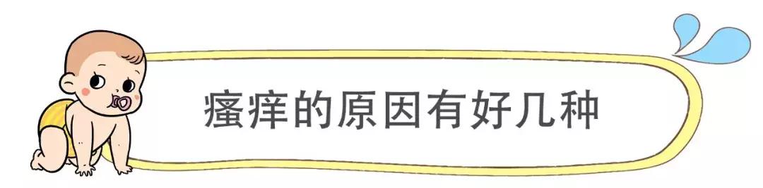 孕妈几个月开始肚皮会发痒,孕期妈妈全身瘙痒