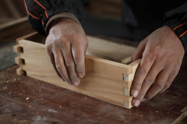 人类与外星生物融为一体,外星植物属于外星生命吗