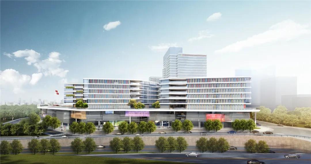 深圳龙华2019公办招生情况,深圳龙华区学校招生方案