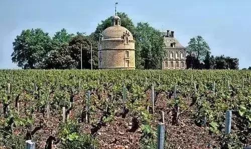 木桐玛歌拉图柏图斯康帝红酒,拉菲拉图玛歌木桐哪个性价比高