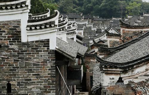 俗语50个基本常识,20句日常俗语大全及解释