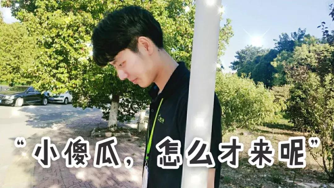 南京北大青鸟好吗,北大青鸟南京