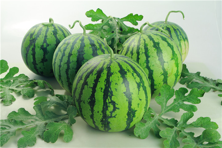 西瓜根腐病和茎基腐有什么区别,西瓜苗根腐病怎么治