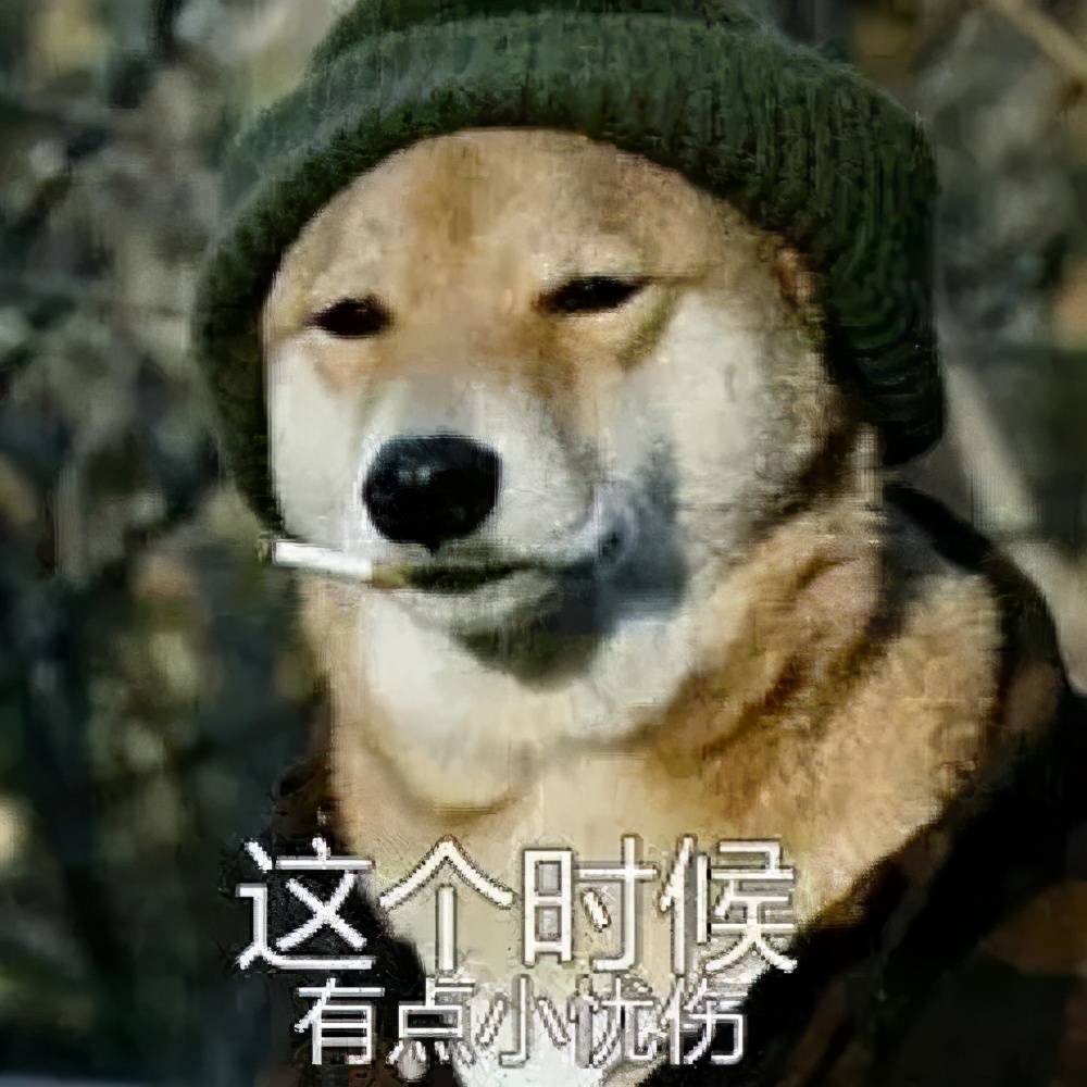 一个月的泰迪拉肚子怎么办,泰迪两个月拉肚子怎么办