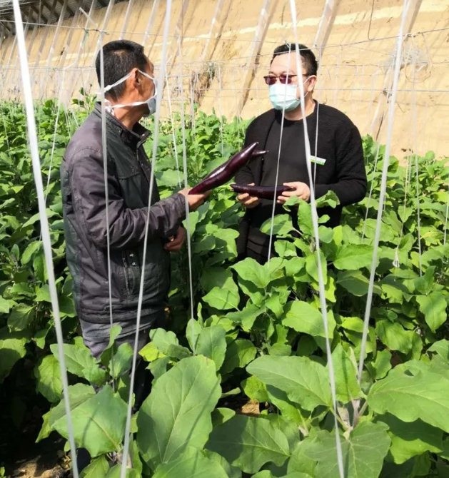 信誉楼百货集团张建港总裁,信誉楼创始人张建港