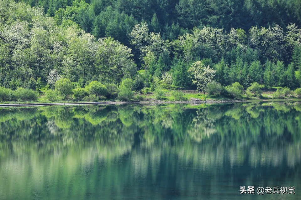 有一种旅行,叫去桓仁看绿