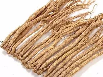 康芝仁中医馆资兴,康芝仁中医馆电话