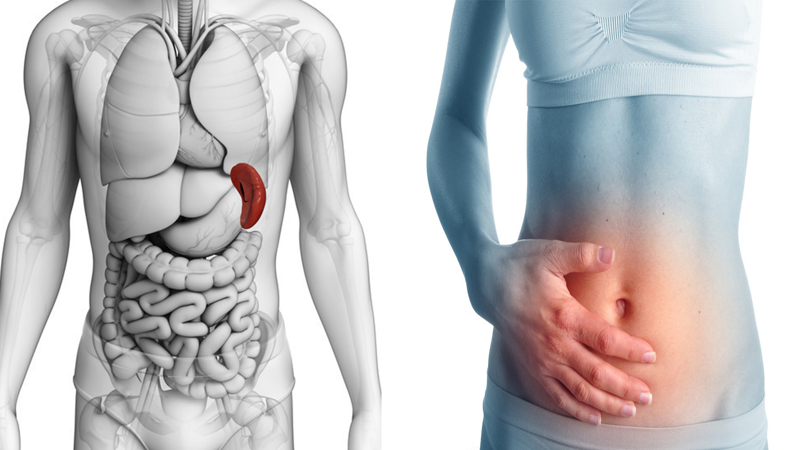 肠绞痛、胆绞痛、肾绞痛，疼痛的位置，区分的方法