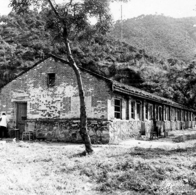 我的母校儿时记忆完整版,椒江二中历史照片