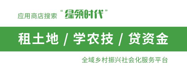 2020年长治县养羊一百头有补贴吗,各地养羊补贴政策