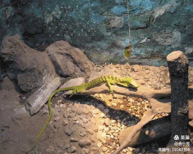 上海野生昆虫馆,上海昆虫馆门票多少