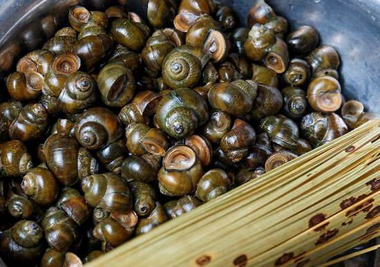 田螺是用油泡着还是用盐,田螺用肺呼吸吗